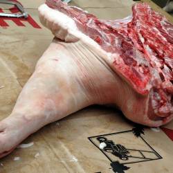 BunHole : Why Are We Doing This ?